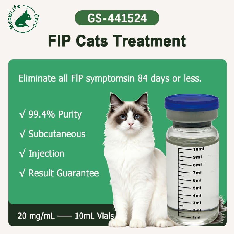 GS-441524 injection 10ml for feline fip support