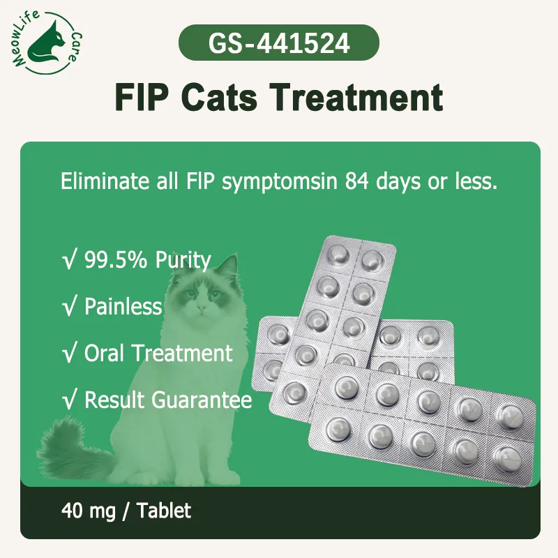 GS441524 40mg tablet veterinary use for feline support